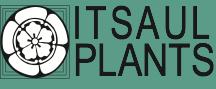itsaulplantslogo