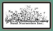 SaulNurseryBig